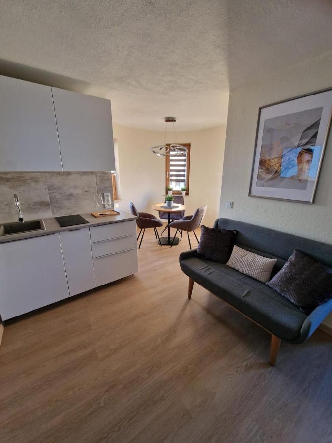 Apartament Unique Messe - Airport Steinenbronn Zewnętrze zdjęcie